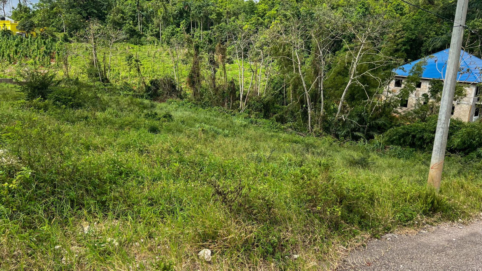 Second image of 11 Hillside Close in Mandeville, Manchester, Jamaica - property is For Sale