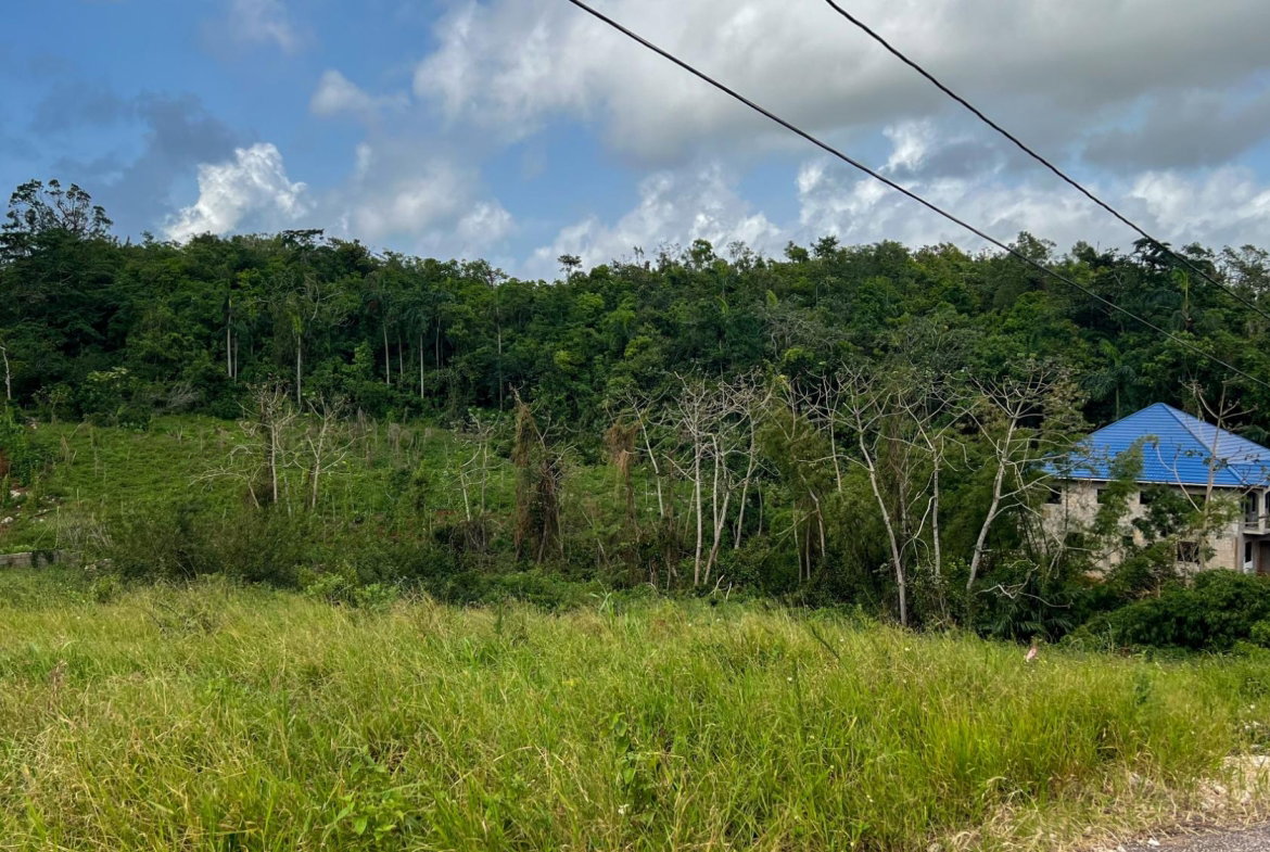 Fourth image of 10 Hillside Close in Mandeville, Manchester, Jamaica - property is For Sale