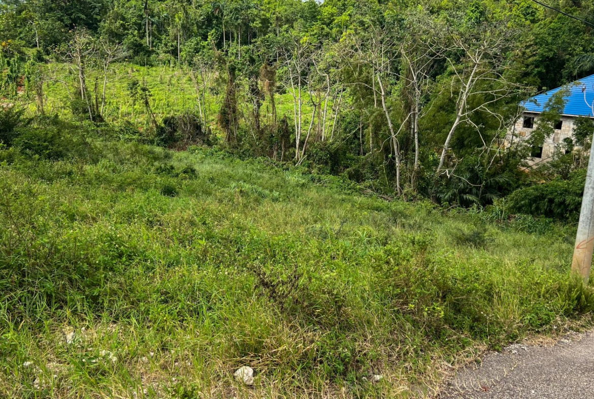 Fifth image of 10 Hillside Close in Mandeville, Manchester, Jamaica - property is For Sale