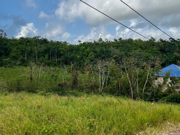 First image of 11 Hillside Close in Mandeville, Manchester, Jamaica - property is For Sale