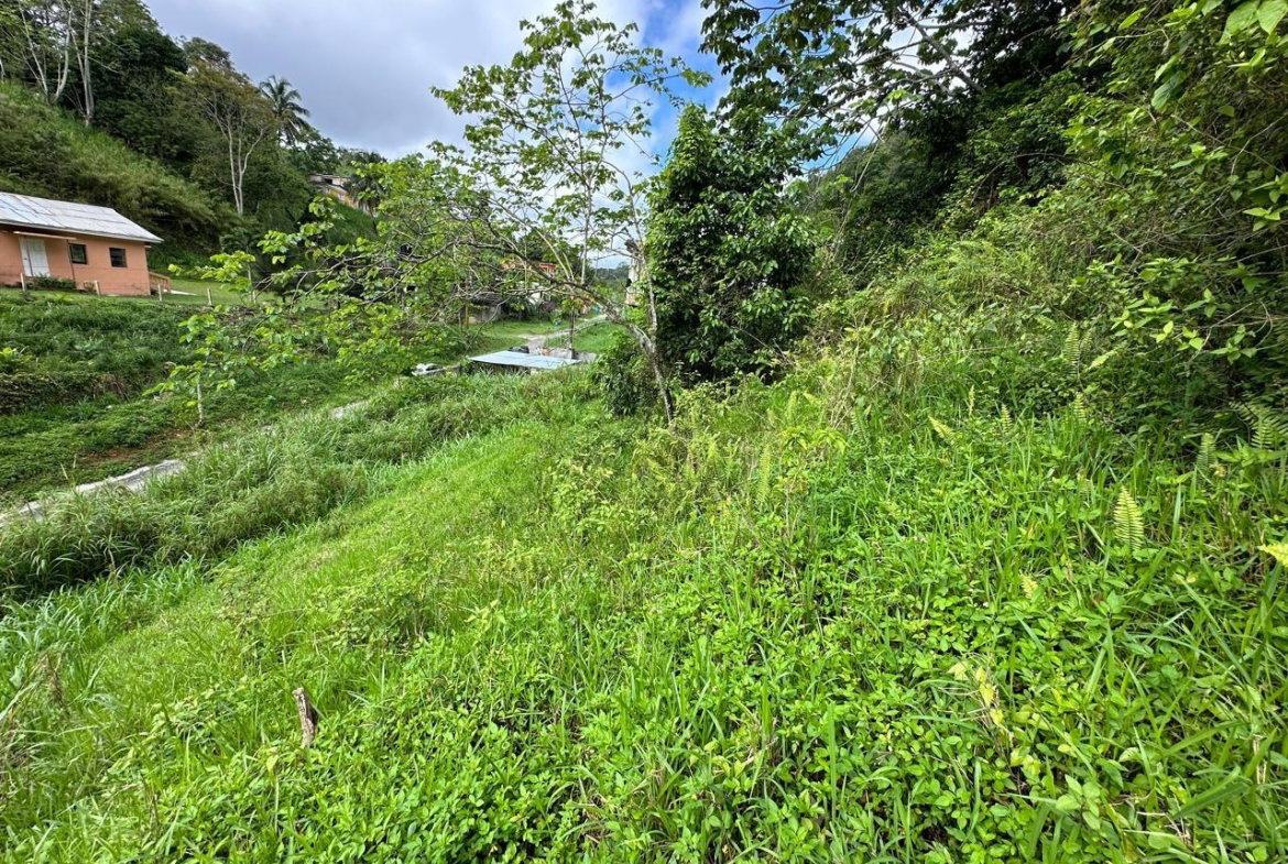 Fifth image of 7 Spring Mount in Hinds Town, St. Ann, Jamaica - property is For Sale