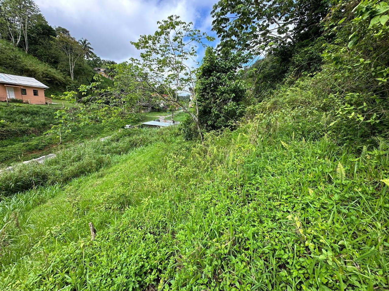 Fifth image of 7 Spring Mount in Hinds Town, St. Ann, Jamaica - property is For Sale