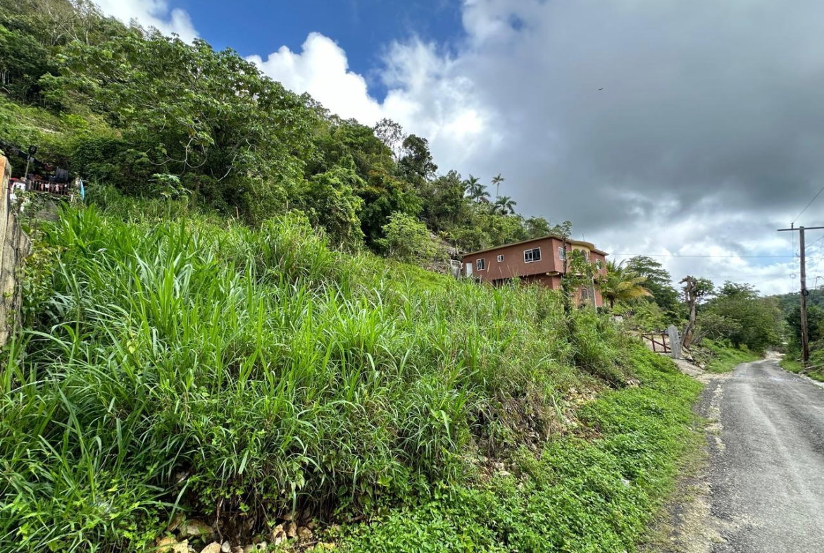 Sixth image of 7 Spring Mount in Hinds Town, St. Ann, Jamaica - property is For Sale