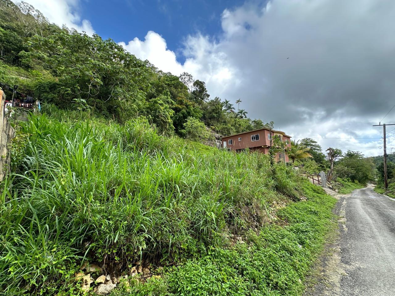Sixth image of 7 Spring Mount in Hinds Town, St. Ann, Jamaica - property is For Sale