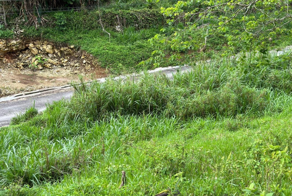 Seventh image of 7 Spring Mount in Hinds Town, St. Ann, Jamaica - property is For Sale