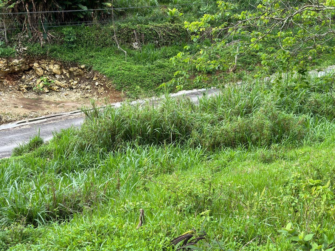 Seventh image of 7 Spring Mount in Hinds Town, St. Ann, Jamaica - property is For Sale