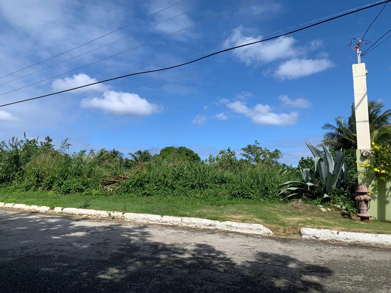 Fourth image of Ysassi Way in Tower Isle, St. Mary, Jamaica - property is For Sale