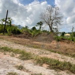 First image of Lot 458 Industry Pen, Three Hills in Three Hills, St. Mary, Jamaica - property is For Sale