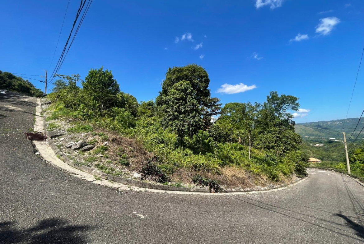 Eleventh image of Lot 402 Bahamia Cl, Ingleside in Mandeville, Manchester, Jamaica - property is For Sale