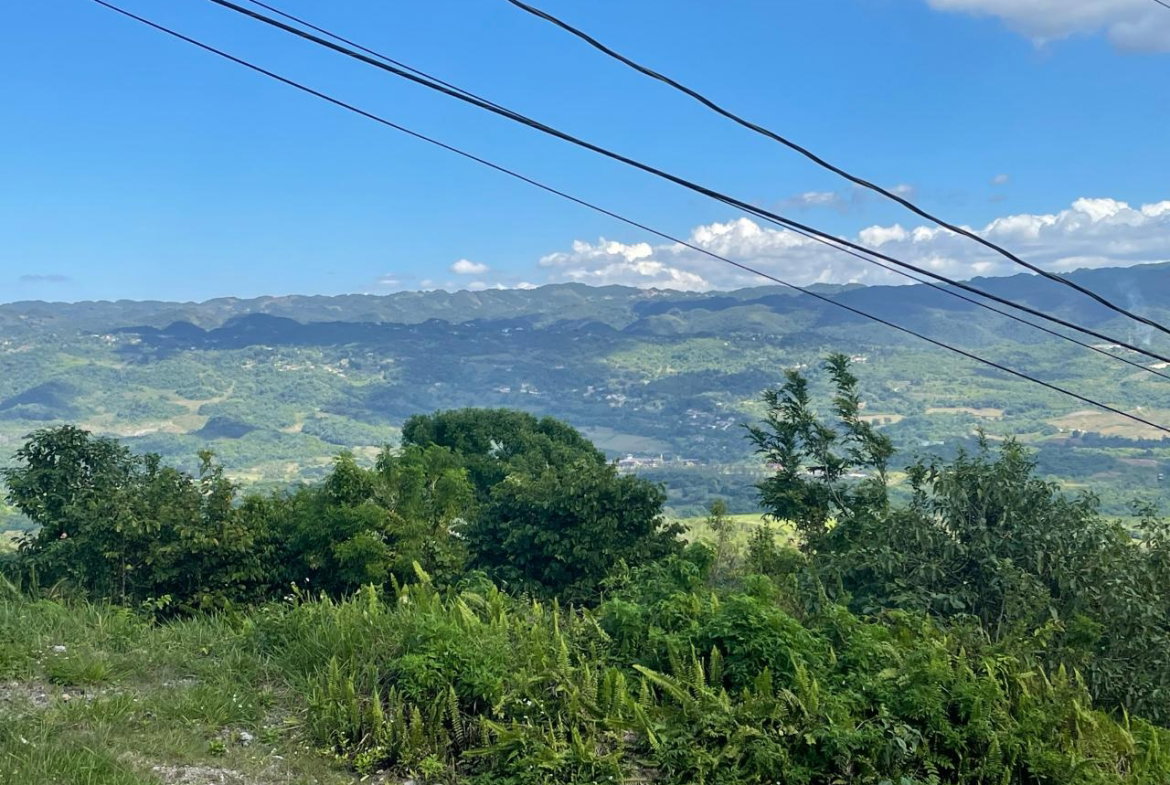 Seventeenth image of Lot 402 Bahamia Cl, Ingleside in Mandeville, Manchester, Jamaica - property is For Sale