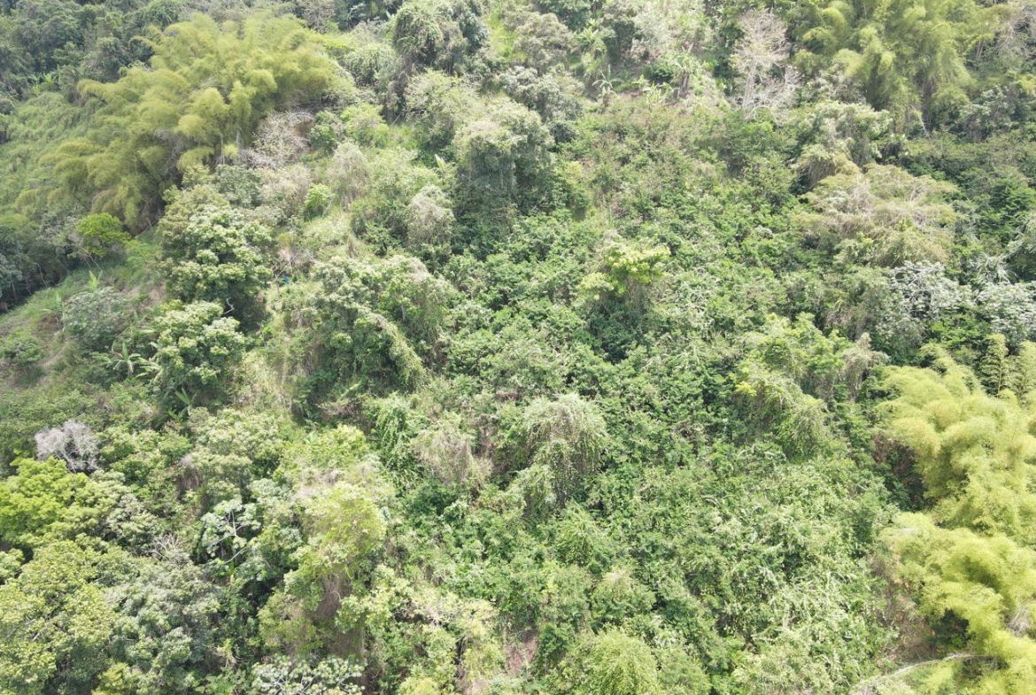 Third image of Irish Town in Irish Town, St. Andrew, Jamaica - property is For Sale