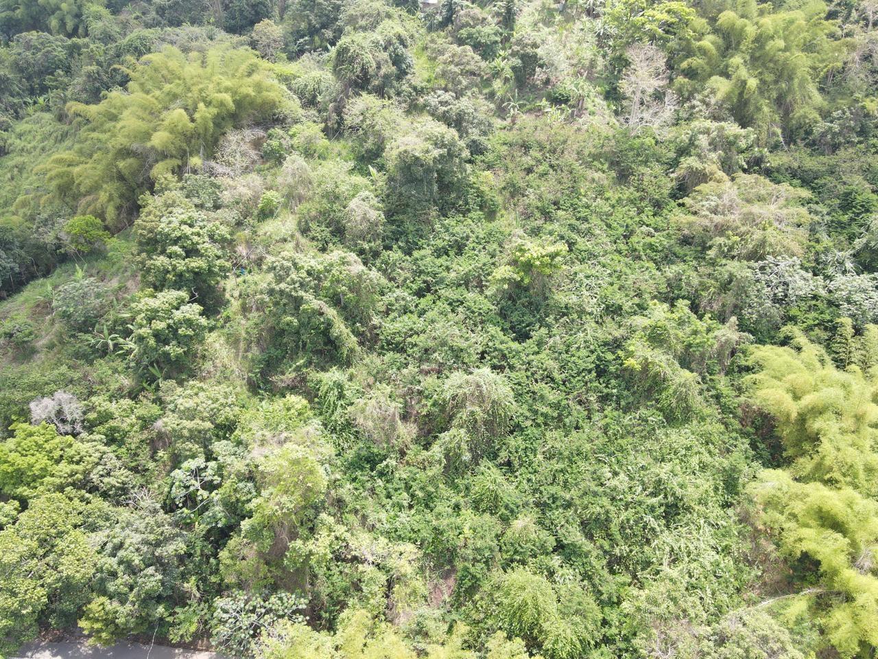 Fourth image of Irish Town in Irish Town, St. Andrew, Jamaica - property is For Sale