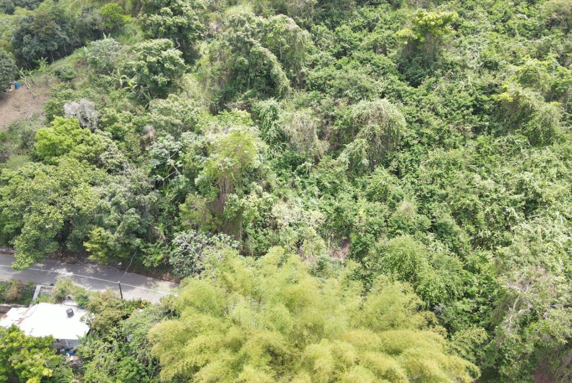 Fifth image of Irish Town in Irish Town, St. Andrew, Jamaica - property is For Sale