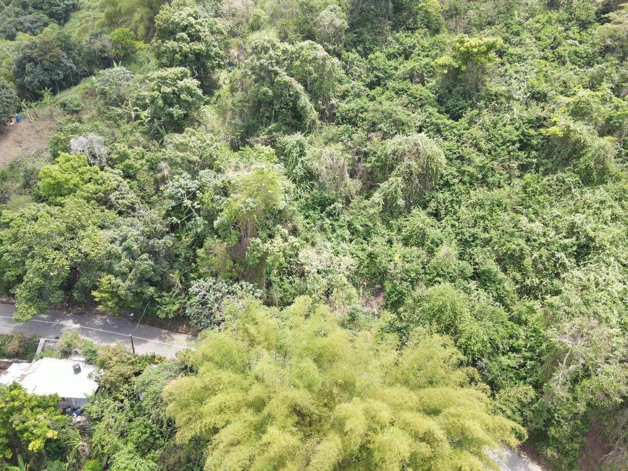 Fifth image of Irish Town in Irish Town, St. Andrew, Jamaica - property is For Sale