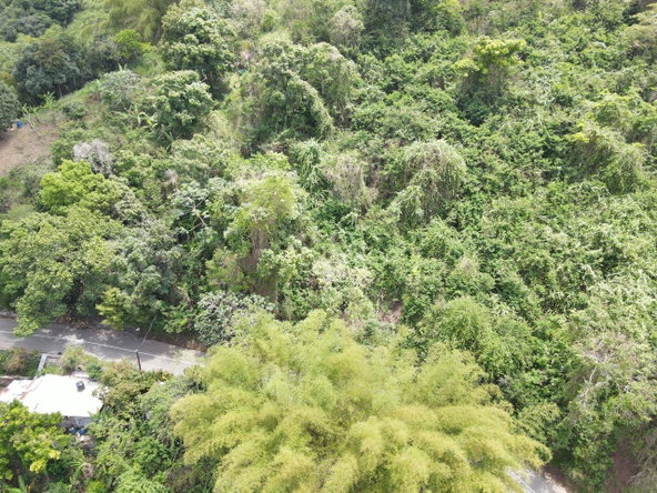 Fifth image of Irish Town in Irish Town, St. Andrew, Jamaica - property is For Sale