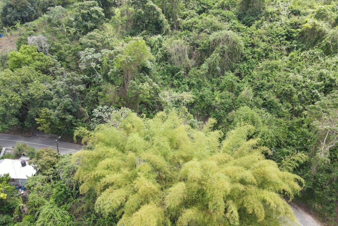 Sixth image of Irish Town in Irish Town, St. Andrew, Jamaica - property is For Sale