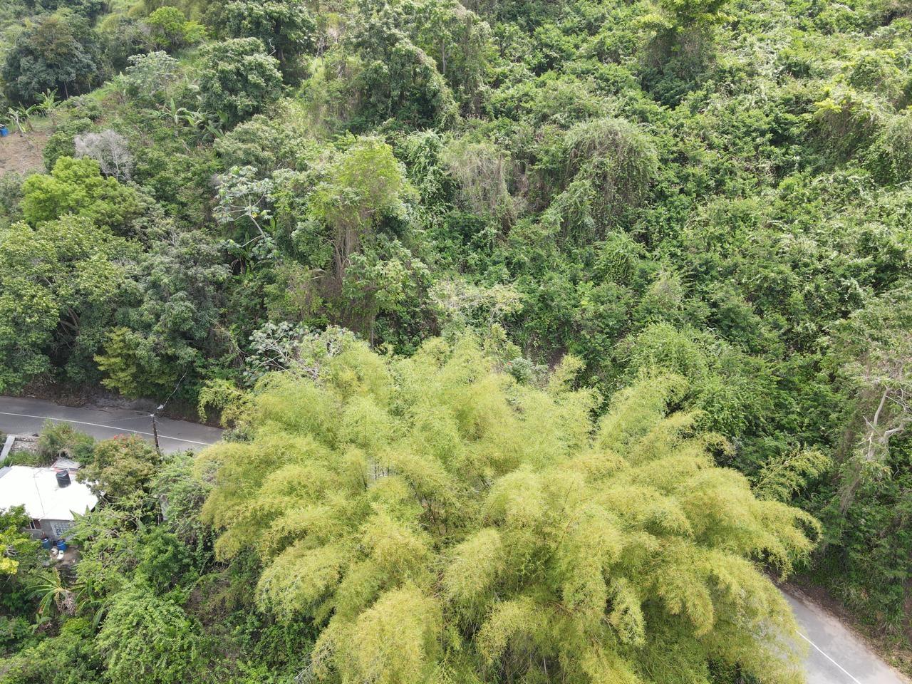 Sixth image of Irish Town in Irish Town, St. Andrew, Jamaica - property is For Sale
