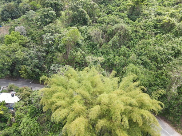 Sixth image of Irish Town in Irish Town, St. Andrew, Jamaica - property is For Sale