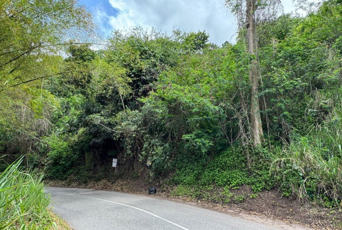 Seventh image of Irish Town in Irish Town, St. Andrew, Jamaica - property is For Sale