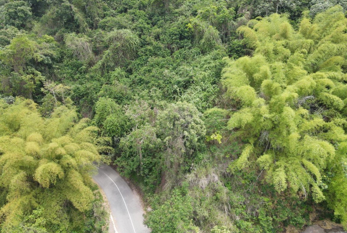 Eighth image of Irish Town in Irish Town, St. Andrew, Jamaica - property is For Sale