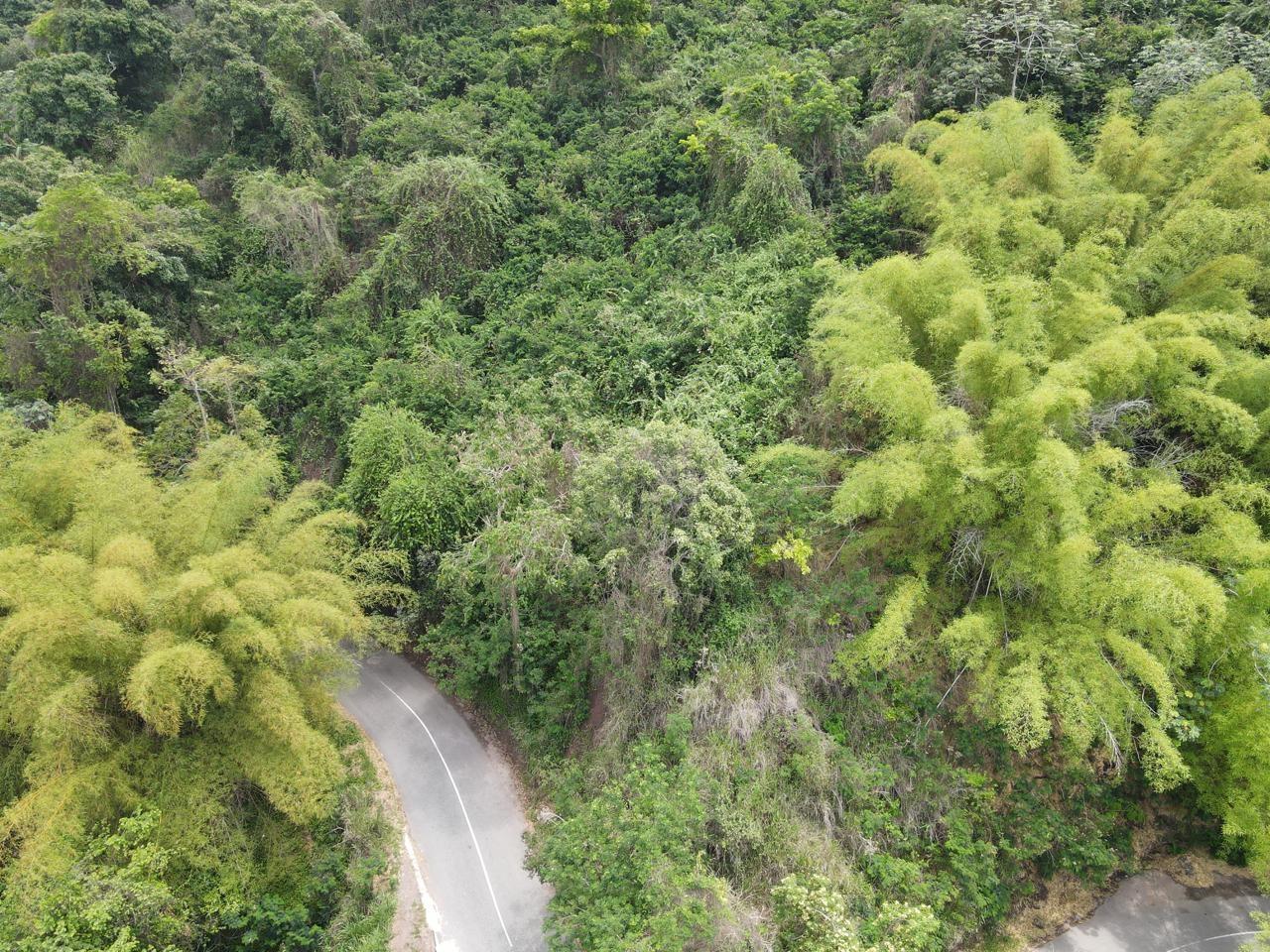 Eighth image of Irish Town in Irish Town, St. Andrew, Jamaica - property is For Sale