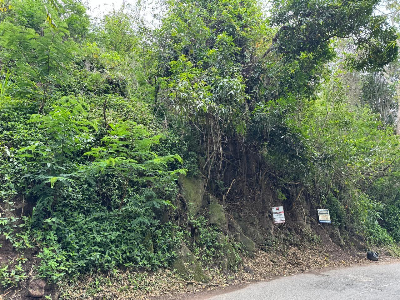 First image of Irish Town in Irish Town, St. Andrew, Jamaica - property is For Sale