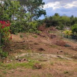 First image of 38 Cassia Avenue, Irwin, Mon in Irwin, St. James, Jamaica - property is For Sale