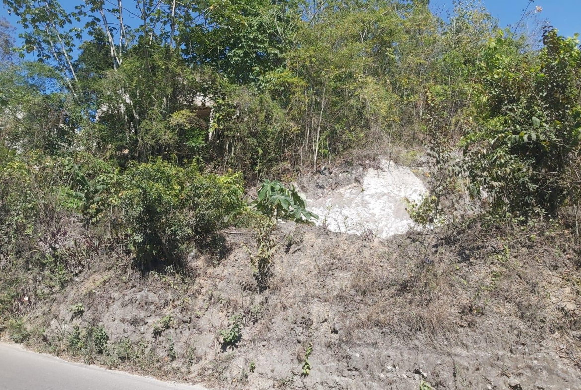 Fourth image of Lot 57 Irwin Point in Irwin, St. James, Jamaica - property is For Sale
