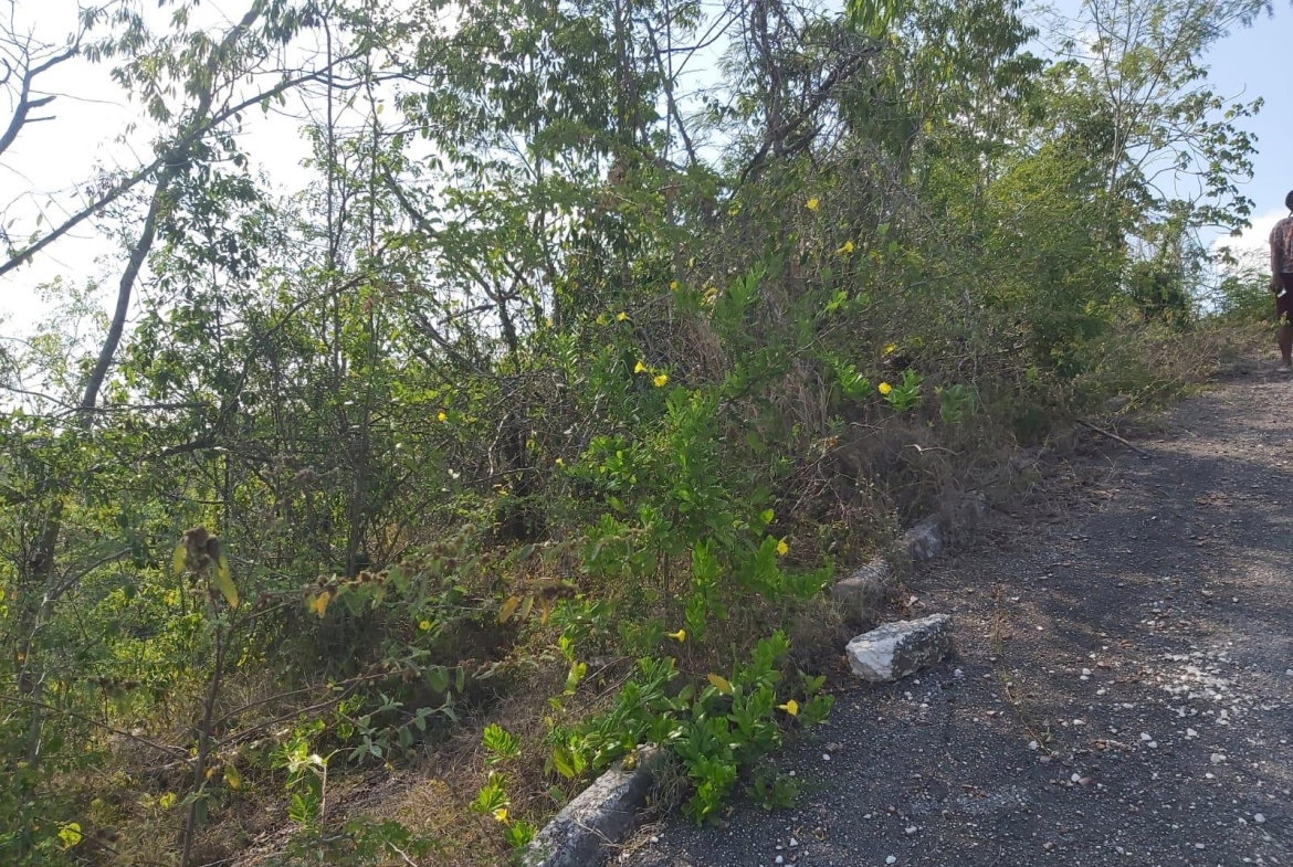 Fifth image of Lot 57 Irwin Point in Irwin, St. James, Jamaica - property is For Sale