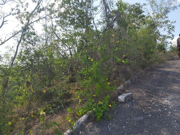 Fifth image of Lot 57 Irwin Point in Irwin, St. James, Jamaica - property is For Sale