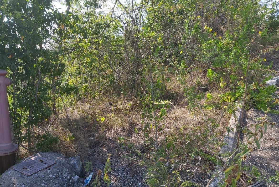 Sixth image of Lot 57 Irwin Point in Irwin, St. James, Jamaica - property is For Sale