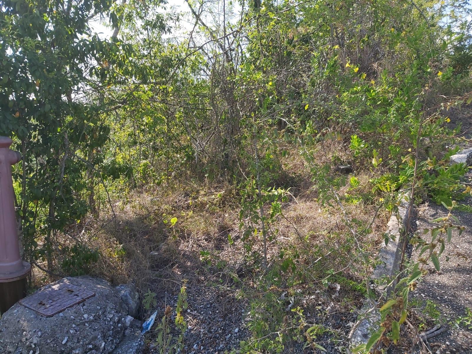 Sixth image of Lot 57 Irwin Point in Irwin, St. James, Jamaica - property is For Sale