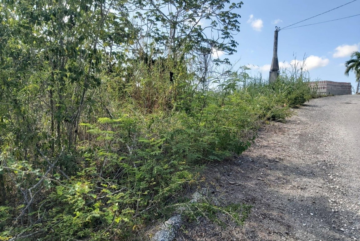 Seventh image of Lot 57 Irwin Point in Irwin, St. James, Jamaica - property is For Sale