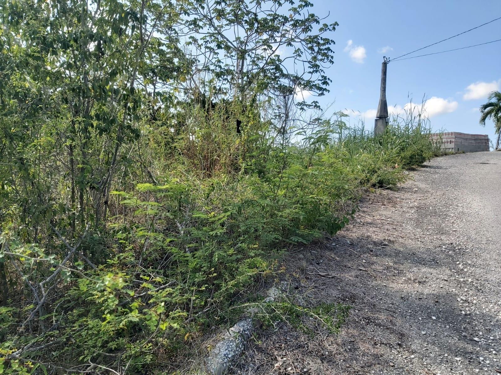 Seventh image of Lot 57 Irwin Point in Irwin, St. James, Jamaica - property is For Sale