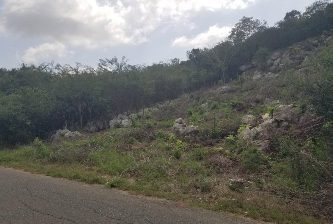 Twelfth image of 24 Cypress Drive in Spanish Town, St. Catherine, Jamaica - property is For Sale