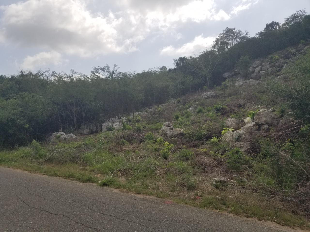 Twelfth image of 24 Cypress Drive in Spanish Town, St. Catherine, Jamaica - property is For Sale