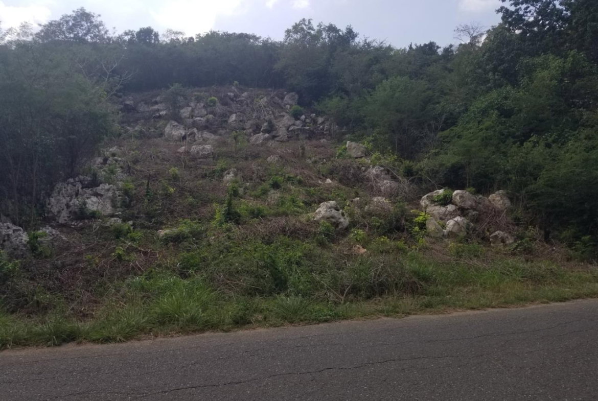 Thirteenth image of 24 Cypress Drive in Spanish Town, St. Catherine, Jamaica - property is For Sale