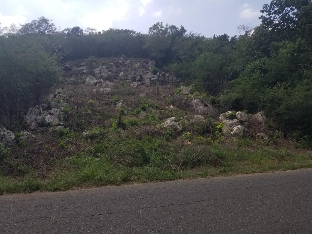 Thirteenth image of 24 Cypress Drive in Spanish Town, St. Catherine, Jamaica - property is For Sale