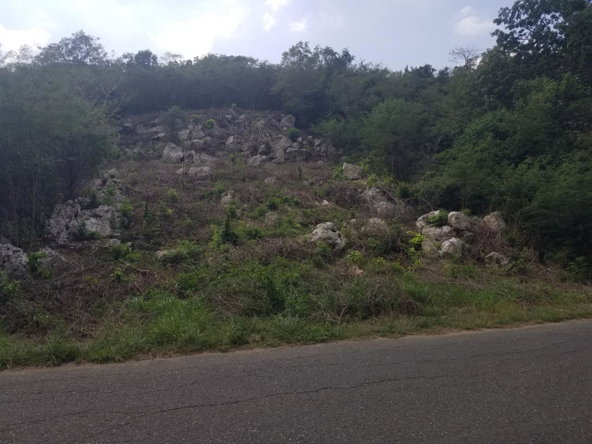 Thirteenth image of 24 Cypress Drive in Spanish Town, St. Catherine, Jamaica - property is For Sale