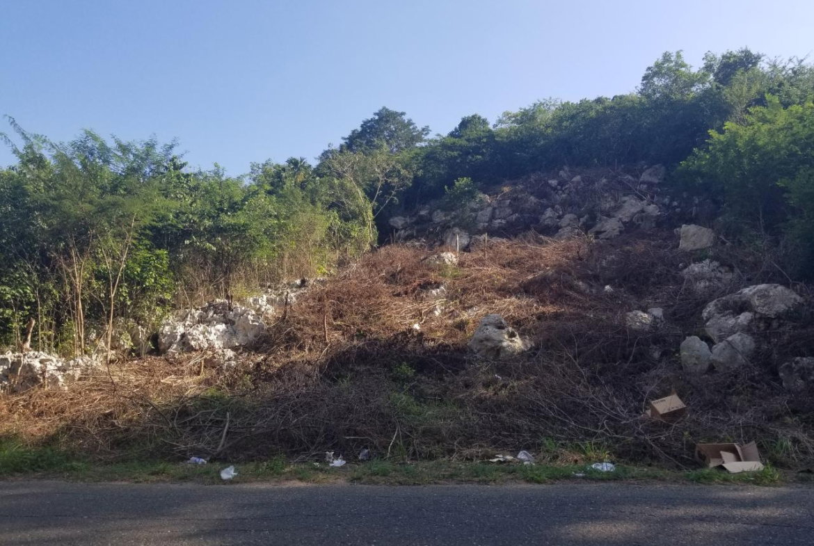 Seventh image of 24 Cypress Drive in Spanish Town, St. Catherine, Jamaica - property is For Sale