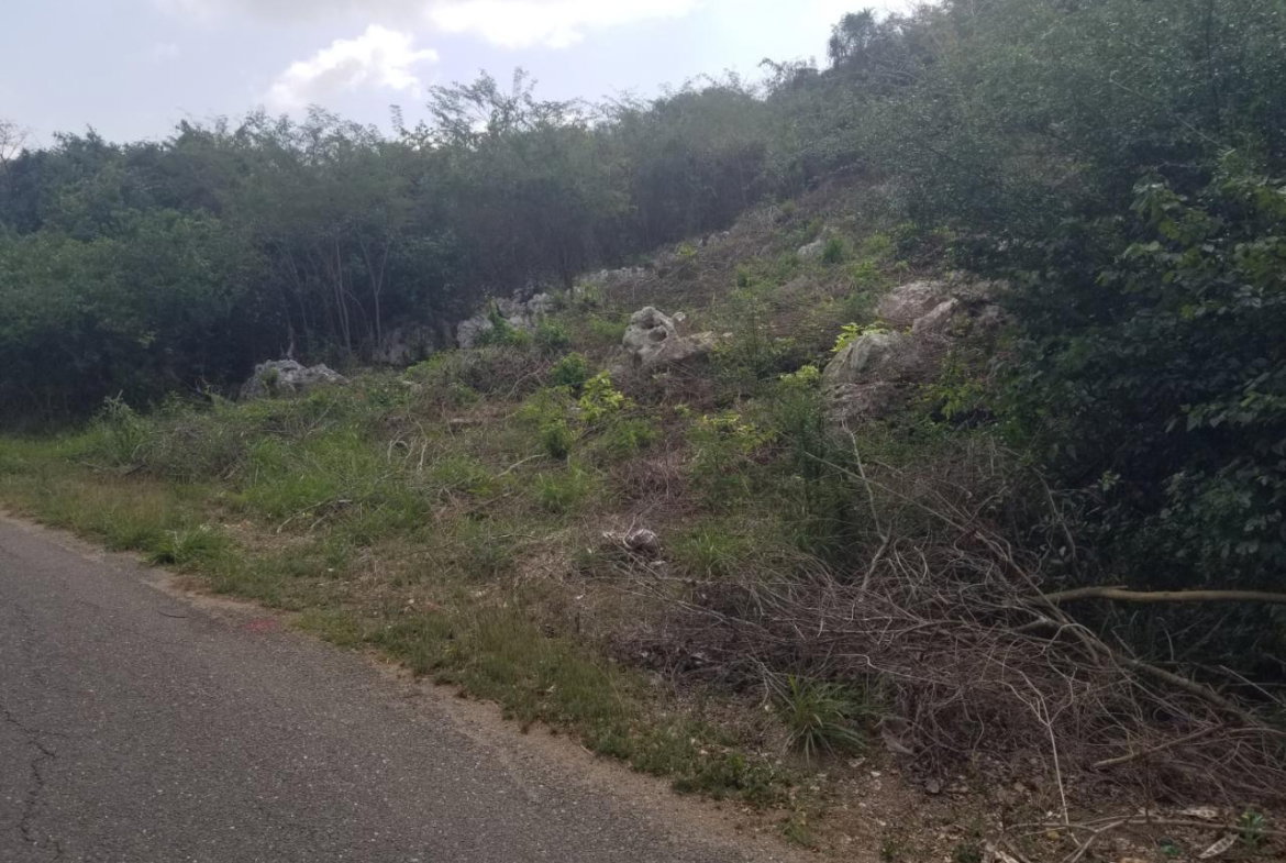 Ninth image of 24 Cypress Drive in Spanish Town, St. Catherine, Jamaica - property is For Sale