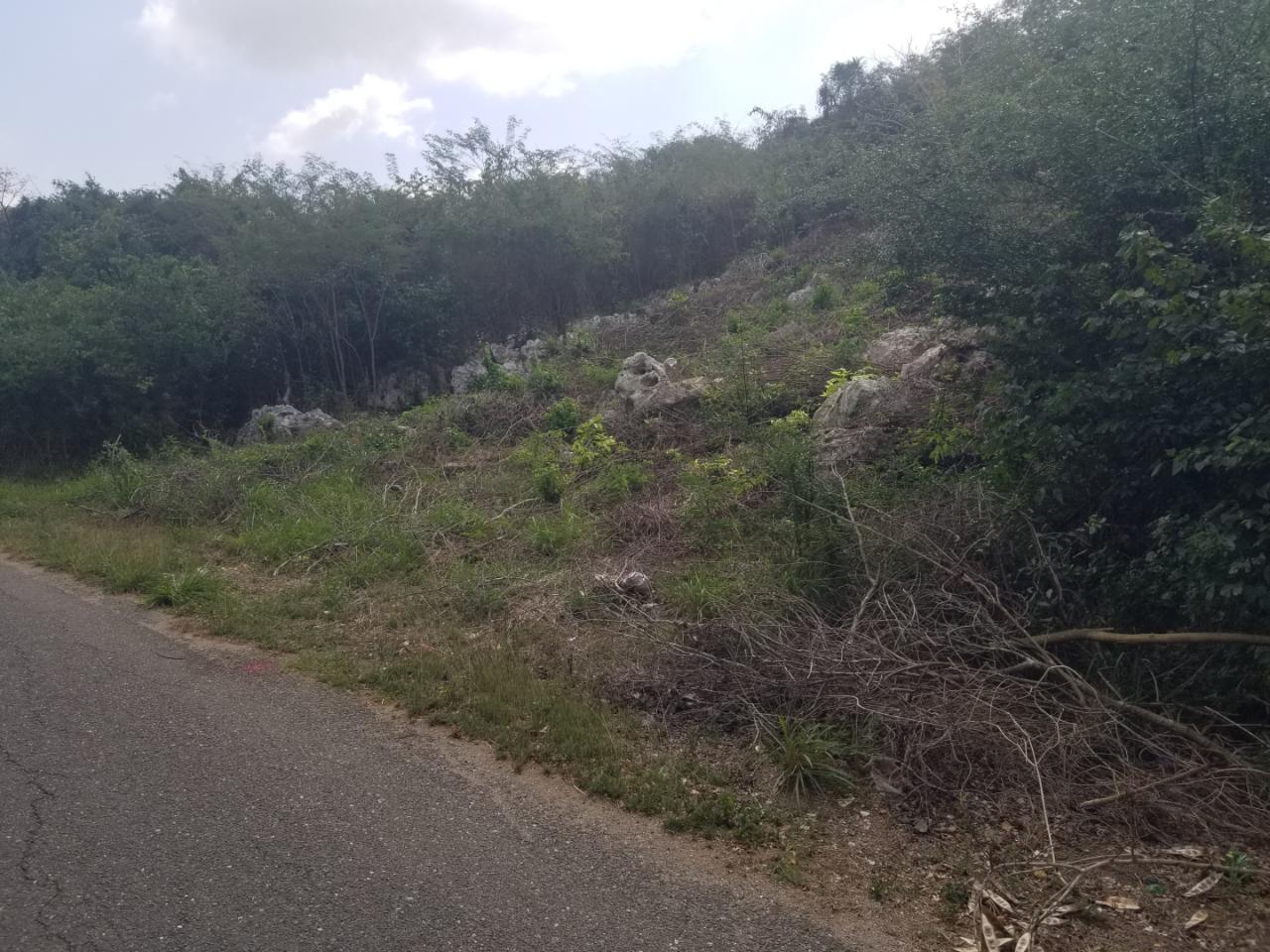 Ninth image of 24 Cypress Drive in Spanish Town, St. Catherine, Jamaica - property is For Sale