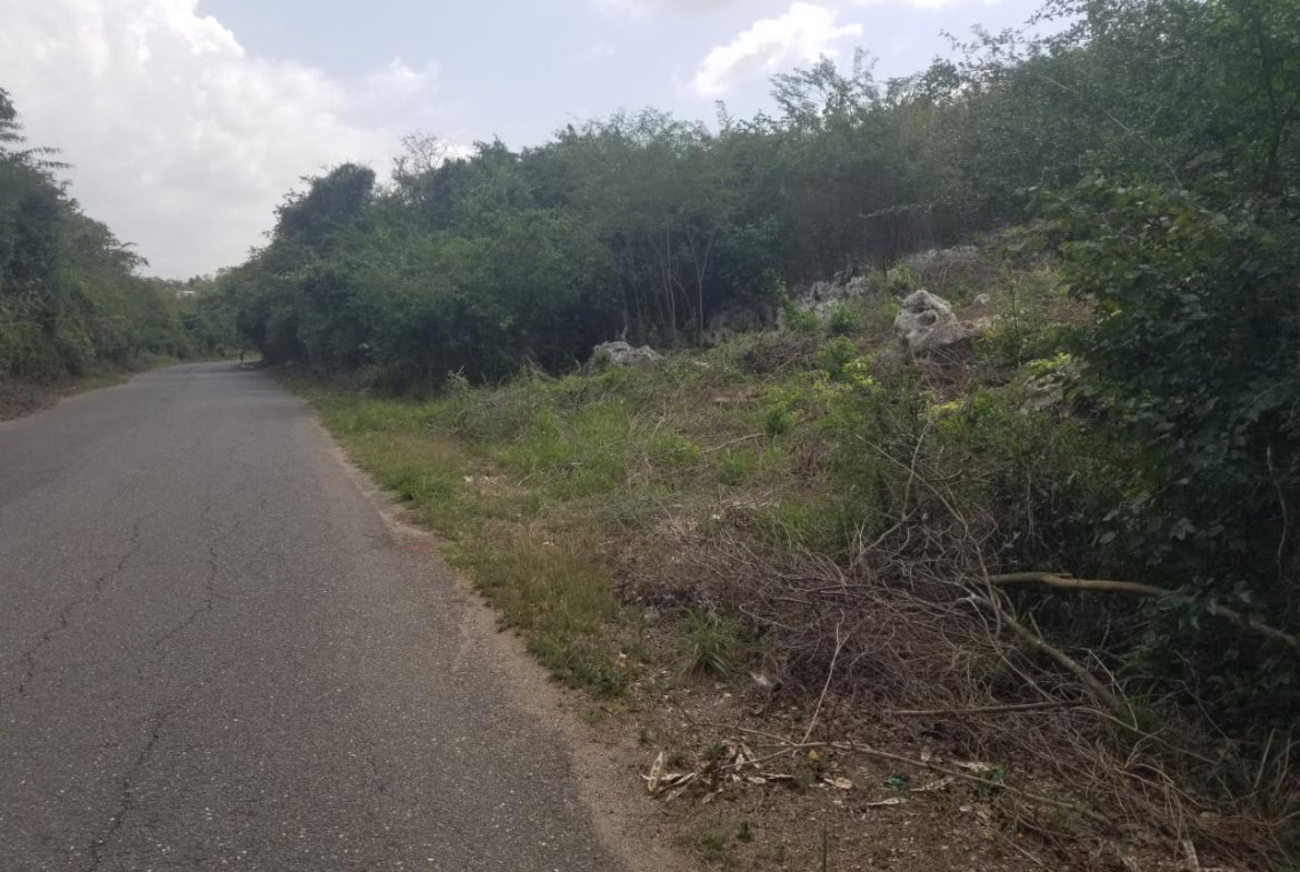 Tenth image of 24 Cypress Drive in Spanish Town, St. Catherine, Jamaica - property is For Sale