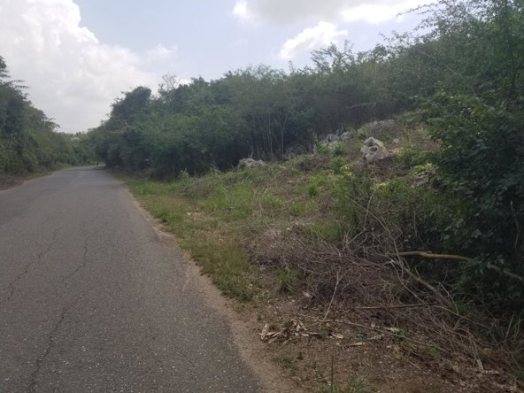 Tenth image of 24 Cypress Drive in Spanish Town, St. Catherine, Jamaica - property is For Sale