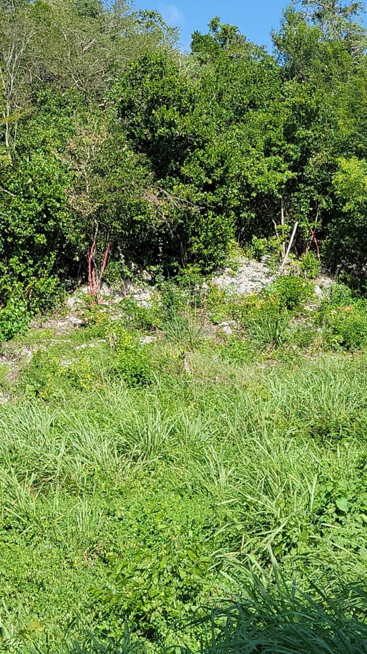 Eleventh image of 32 Marlene Close, Keyston in Keystone, St. Catherine, Jamaica - property is For Sale