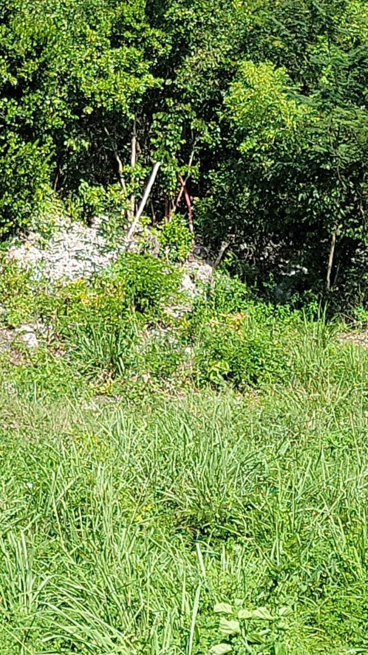 Thirteenth image of 32 Marlene Close, Keyston in Keystone, St. Catherine, Jamaica - property is For Sale