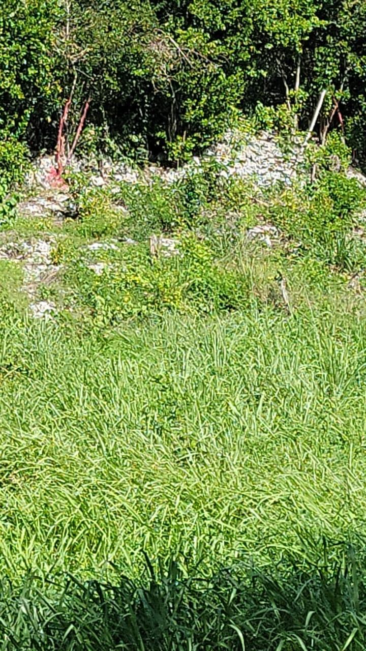 Fifteenth image of 32 Marlene Close, Keyston in Keystone, St. Catherine, Jamaica - property is For Sale