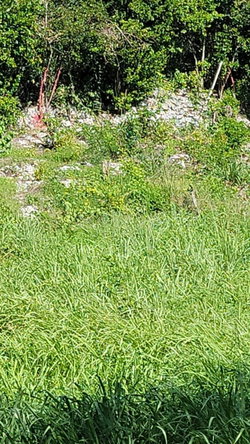Fifteenth image of 32 Marlene Close, Keyston in Keystone, St. Catherine, Jamaica - property is For Sale
