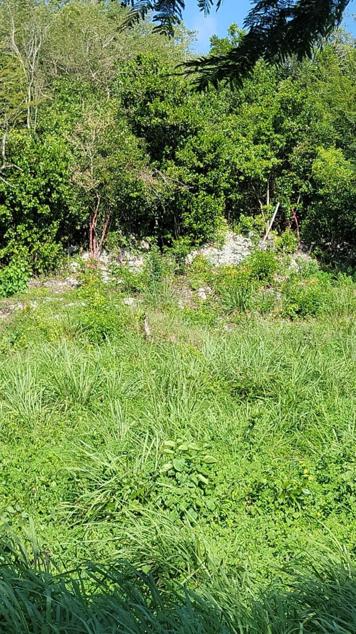 Seventh image of 32 Marlene Close, Keyston in Keystone, St. Catherine, Jamaica - property is For Sale