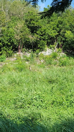 Seventh image of 32 Marlene Close, Keyston in Keystone, St. Catherine, Jamaica - property is For Sale